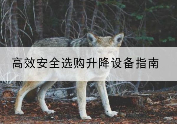 淄博升降货梯厂家推荐-*安全选购升降设备指南