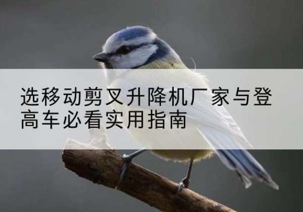 淄博电动升降机厂家-选移动剪叉升降机厂家与登高车必看实用指南