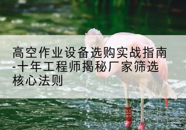 淄博剪叉式升降机厂家-高空作业设备选购实战指南-十年工程师揭秘厂家筛选核心法则